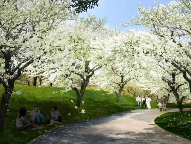 刚刚公告！无锡梅园 临时闭园