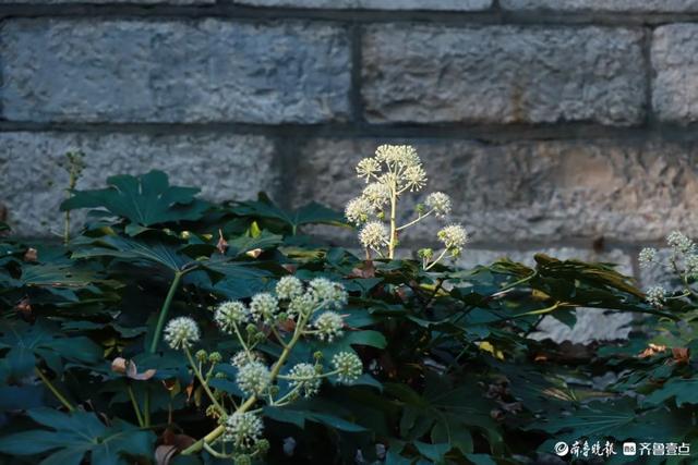 初冬时节，明湖美景
