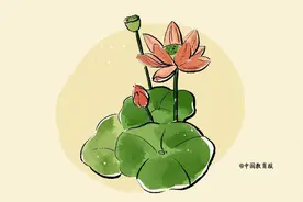 给孩子立规矩失败无数次？抓住这5个要点，比打骂管用图片