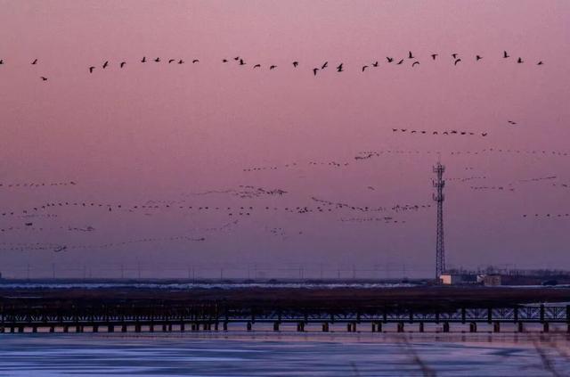 新华社+《国家地理》推荐 快来打卡山东秋景限定款