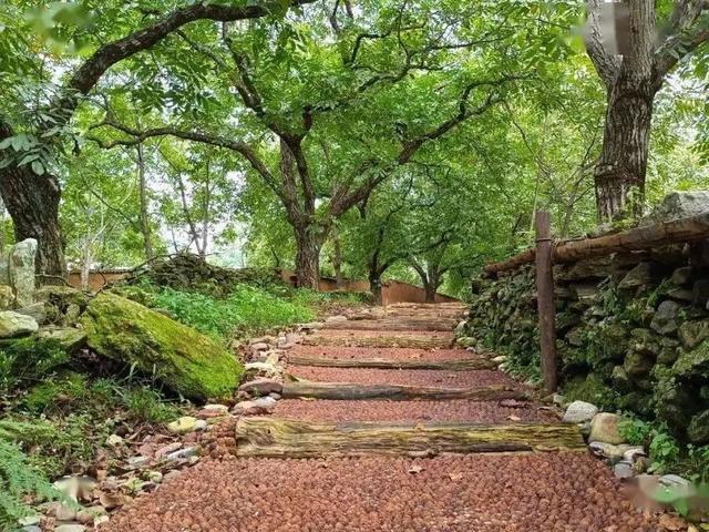 大理+滇西5县深度游！10条主题线覆盖非遗、古镇、美食、康养，这篇攻略直接抄作业