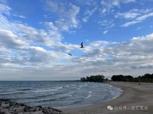 开车经过并不是一种联结丨文汇笔会