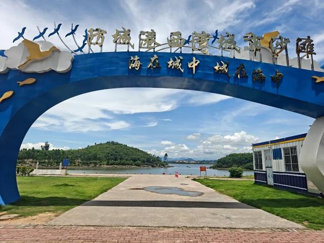 秋日降温寻暖！来防城港看橘子海、拍漂亮照~