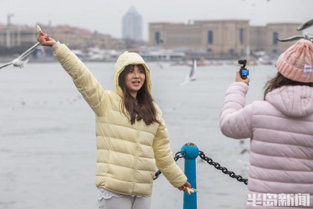 小雪不挡“鸥”式浪漫