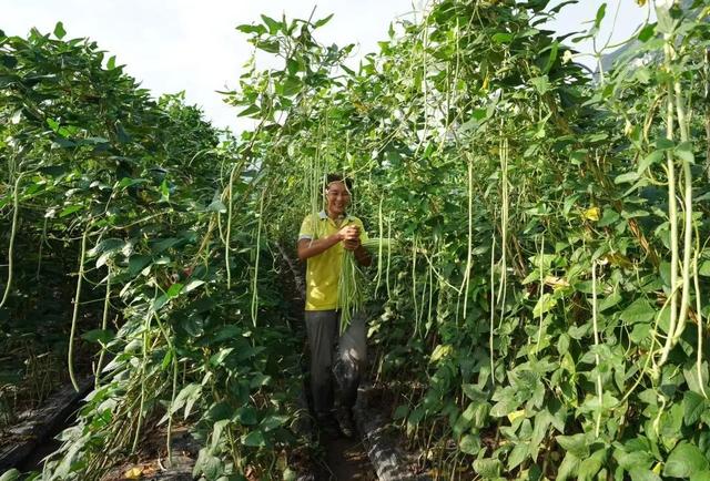 车行云海间，桂林这个地方超适合自驾漫游！