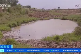 突破48℃！河流干枯、田地荒芜，缅甸极端高温冲击农业生产图片