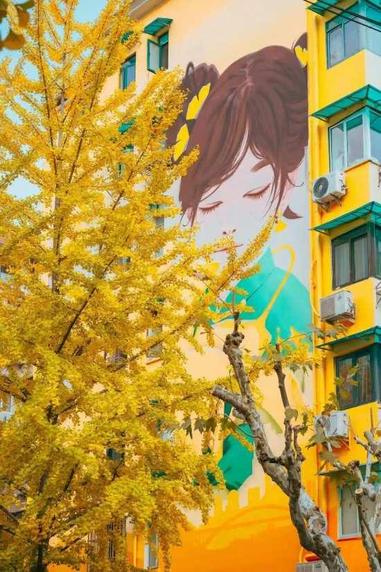 上海银杏浓度已达99％！这份含“金”浪漫别错过