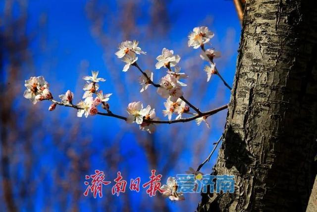 走进公园 一起遇见春天