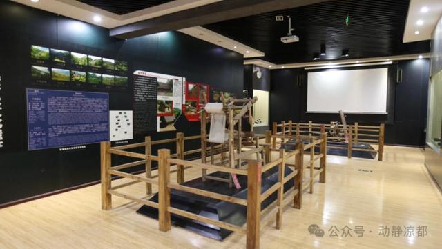 秋游贵州  开启一场康养之旅