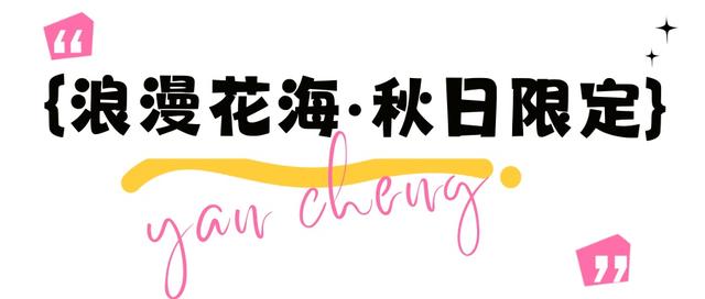 不来盐城，怎知秋色如许？