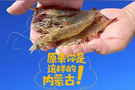 活力内蒙古丨原来你是这样的内蒙古，还藏了多少好东西图片