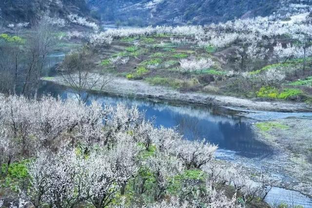 走！跟着央视热播剧，打卡毕节