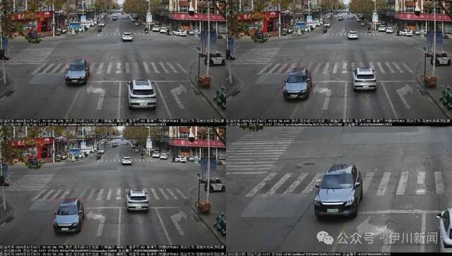 压实线！伊川曝光一批车辆……