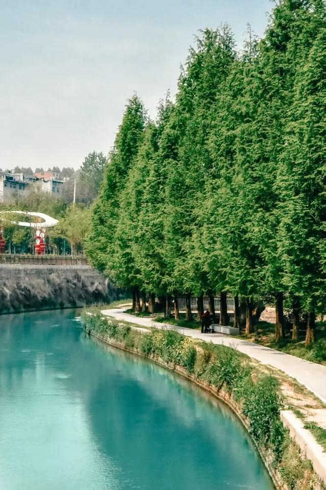 西安冬季观鸟指南 赴一场“飞羽之约”