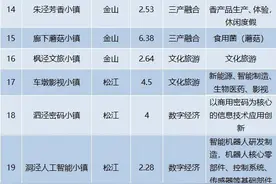 2024年上海市特色小镇清单发布！图片