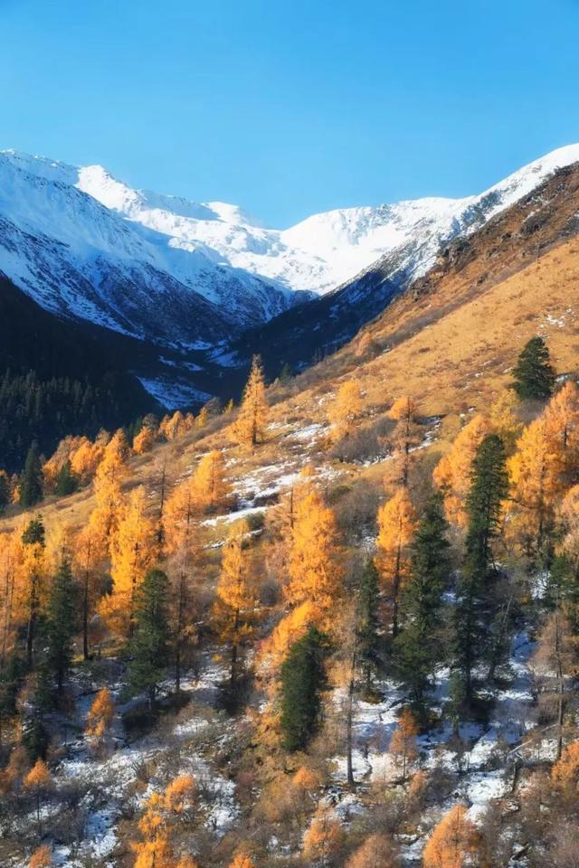 这个冬天，来甘孜晒太阳就绰绰有余！