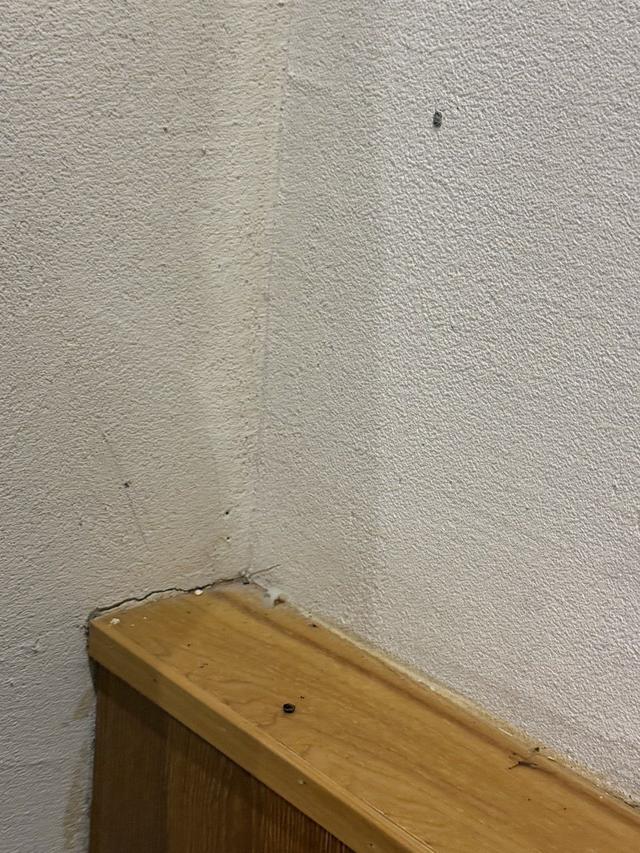 在武夷山预订的民宿“货不对板”，衢州游客求助“记者帮”，当地文体旅局回应了