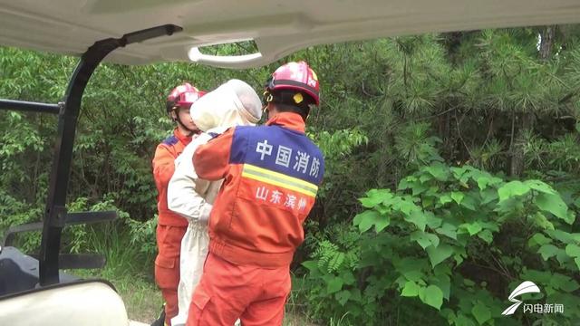 邹平：景区灌木丛现30厘米马蜂窝 消防巧施“火攻”紧急清除