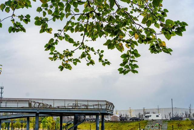 秋游白沙河草甸