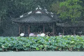 谈个天｜今日处暑，夏未央，天渐凉图片