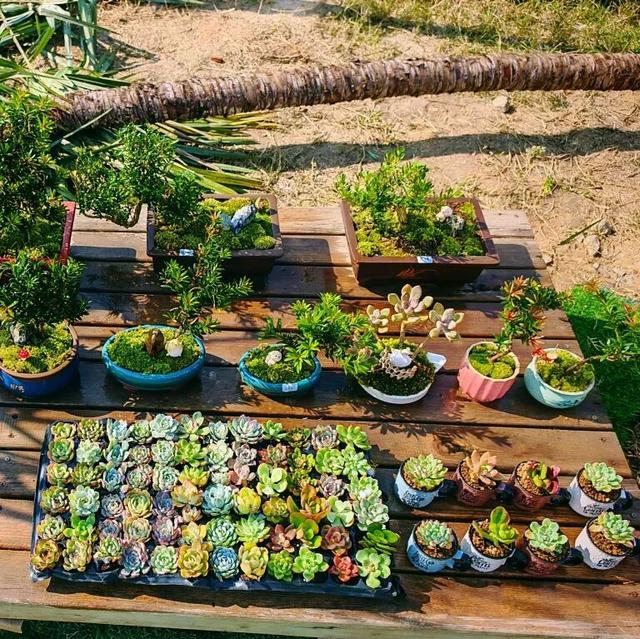 遇见丨开福·逛三园：我在「鸭嘴公园」好快乐鸭！