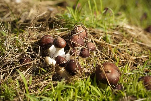 贤鲁跑名额增加！环岛吃喝玩乐购全攻略→