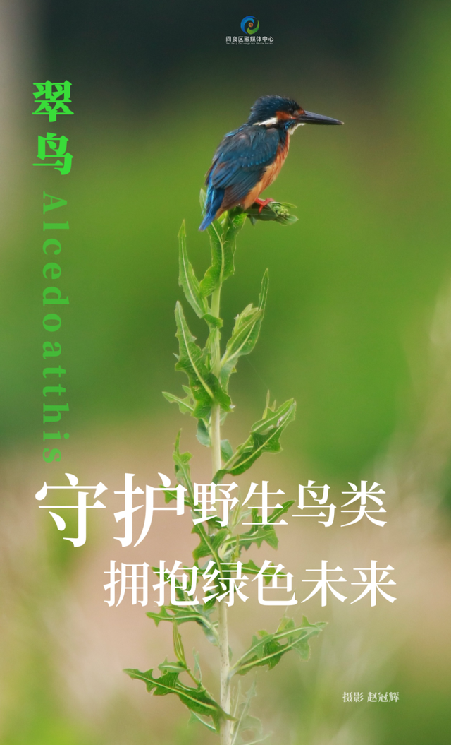 2025西安航空航天体验消费嘉年华7月18日盛大来袭！