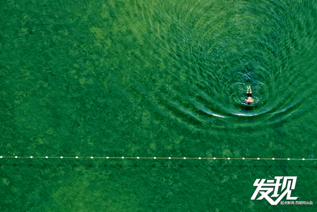 发现丨洽川湿地：绿水盈盈 芦苇丛丛