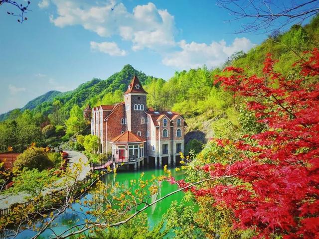 热搜！寒潮收尾！周末最高21℃！来光明东滩源、黄山茶林场兜兜…最低2折特惠！太值了！