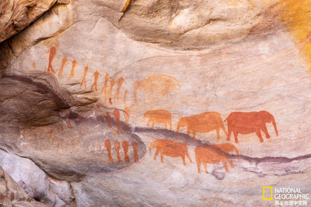 见证百万沙丁鱼集体巡游，南非之美远不止一座开普敦