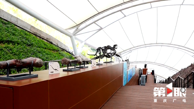 中国国家地理恐龙主题自然驿站落地云阳