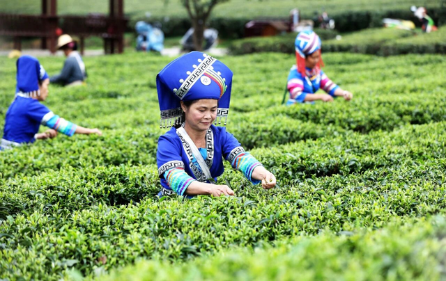 南宁冬日“充电”之旅！让温暖和美景把能量条加满