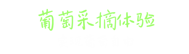 葡萄界的迪士尼！雷音葡萄快闪开幕，这场城市田园采摘狂欢只为你来