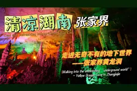 清凉湖南·张家界（双语）丨黄龙洞——无奇不有的“地下世界”图片