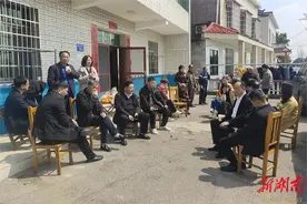 望城区靖港镇格塘村：春耕“组合拳”擂响双季稻种植“奋进鼓”图片