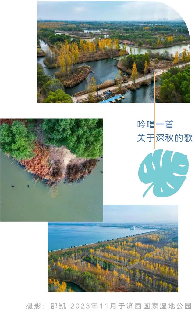 济南的秋天，大电影质感！