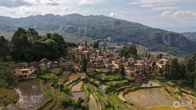 元阳县：一条山路何以撬动全域经济