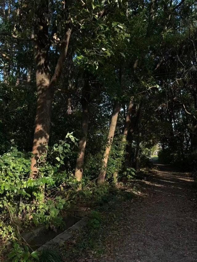 街头大量出现！武进人都去......