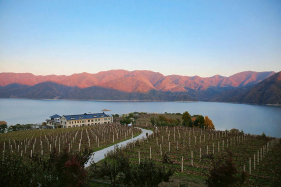 最美铁路・沈白高铁｜高山仰止，心向往之