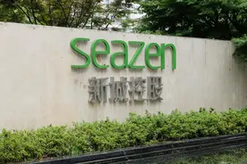 新城控股拟向母公司及其关联人申请借款：总额不超150亿元，利率不超8%图片