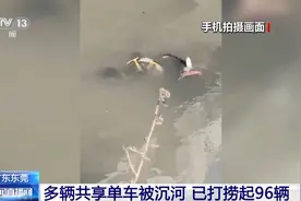 广东东莞捞起96辆“被沉河”共享单车，或将追究刑事责任图片