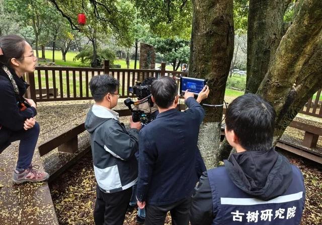 央视聚焦！绍兴这里出名了