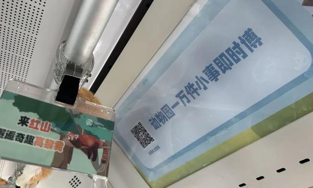 把红山动物园“搬”上车！南京最萌公交车来了
