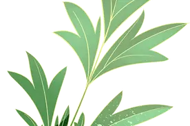 来一场说走就走的“School Walk”吧！打卡沪上高校，不负好春光图片