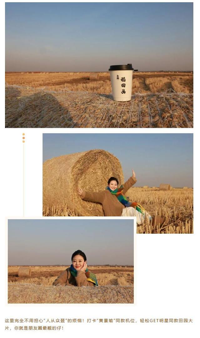 东营市区出发半小时直达，离你最近的“瑞士卷”竟然藏在稻田画！