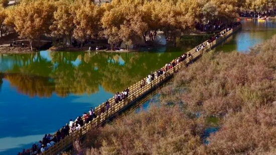 新疆洛浦：超31.5万人次 消费2520万元