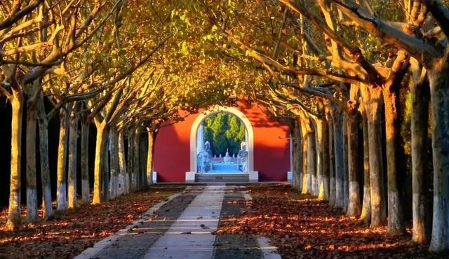 立冬第一游去哪里？淮安5处目的地，这个时节美翻了！