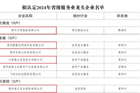 贵阳产控集团旗下贵阳创投4家已投资企业入选“2024年省级服务业龙头企业”名单图片