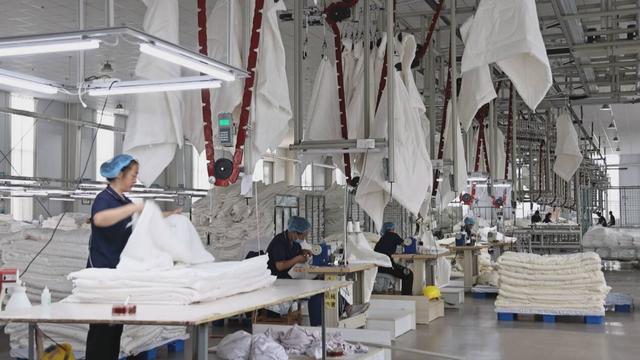 沿着黄河遇见海｜采访团走进齐鲁棉花博物馆：探秘从“籽棉”到“智纺”的现代产业升级之路