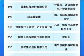 蝉联湖北民企首位！卓尔入选2024中国民营企业500强图片